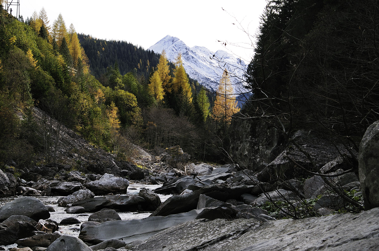 Magic Wood Gebro Verlag