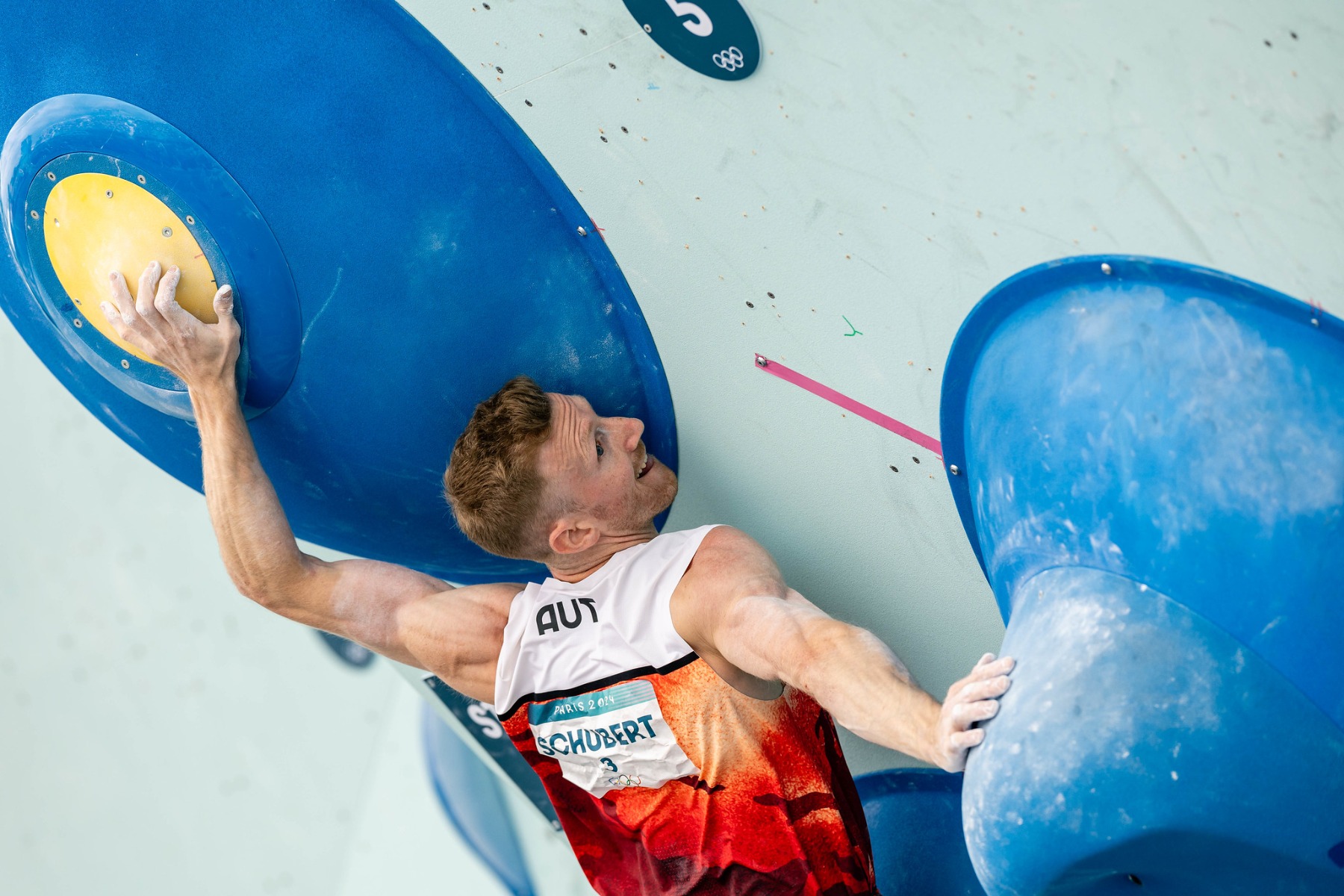 Drapella / Virt / IFSC