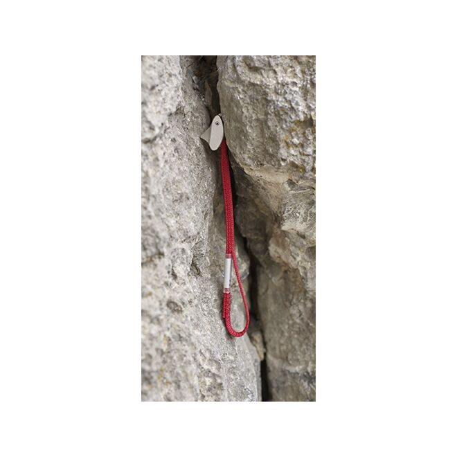CAMP Tricam Evo tamaño 0.25 dado arrampicata