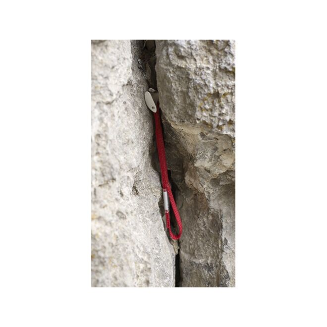 CAMP Tricam Evo tamaño 0.25 dado arrampicata