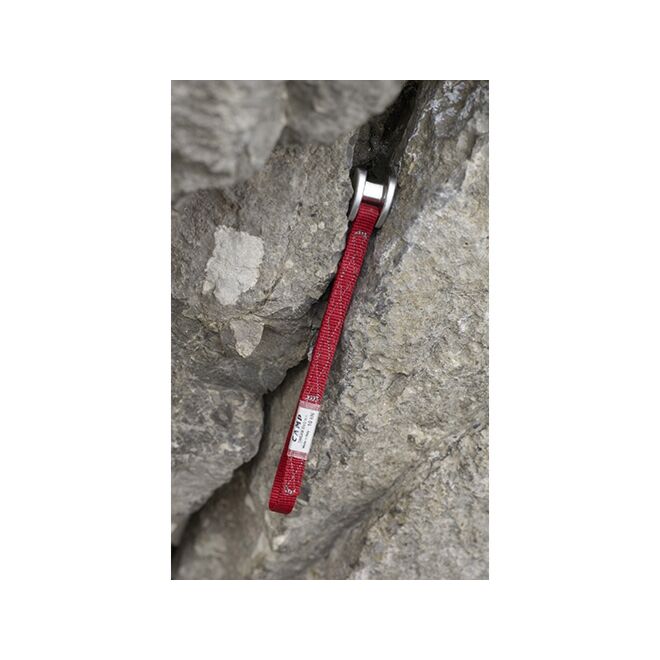 CAMP Tricam Evo tamaño 0.25 dado arrampicata