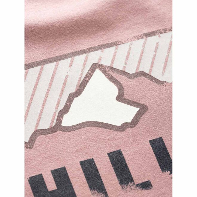 Chillaz Bozen Mountain Logo men's t-shirt