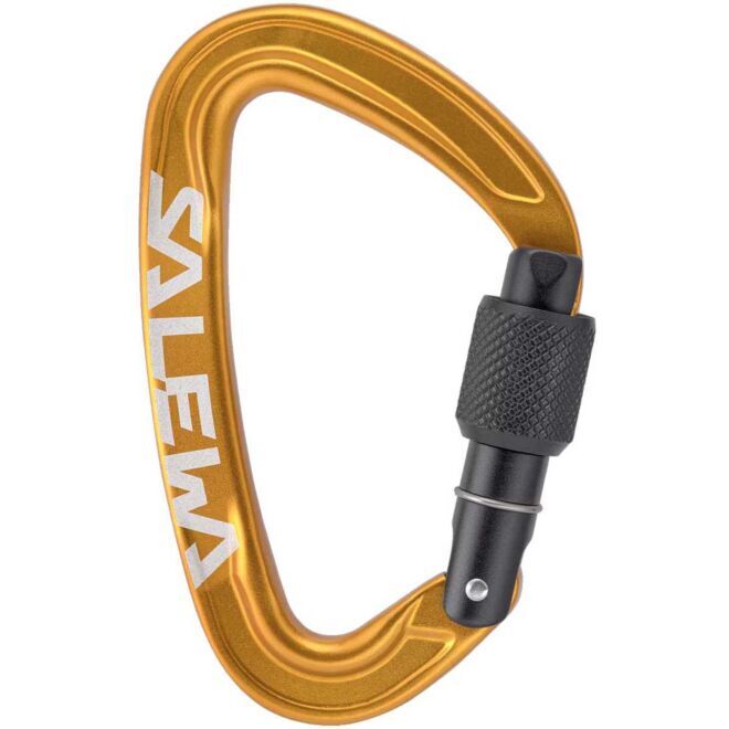 SALEWA Ortles Screw climbing carabiner