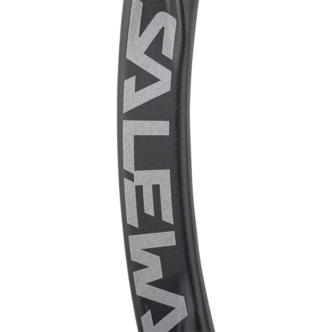 SALEWA Ortles Straight Carabiner mosquetón de escalada