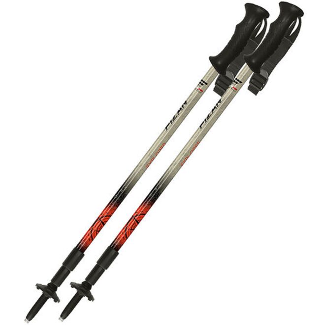 Fizan Explorer bastones de trekking