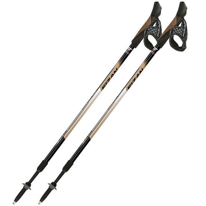 Fizan Speed bastones de nordic walking