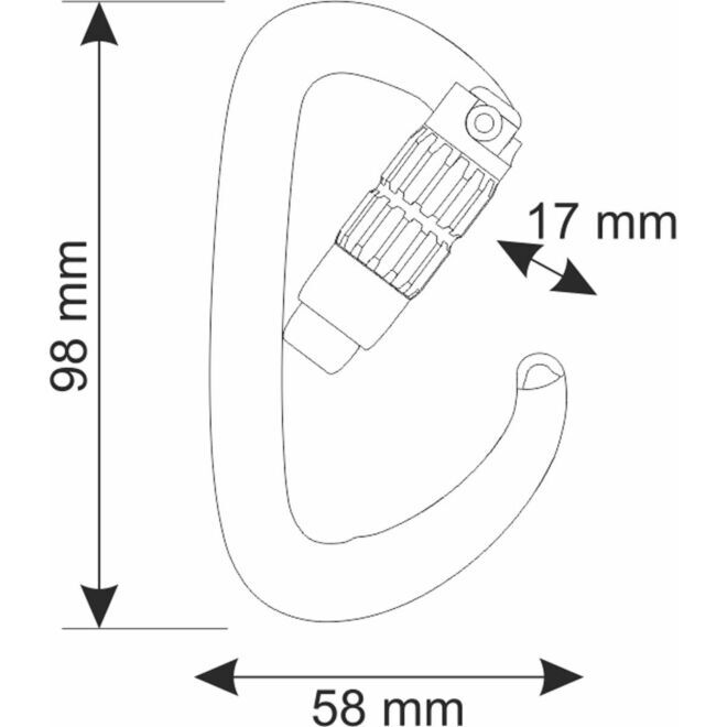 CAMP Orbit 2Lock mosquetón de escalada