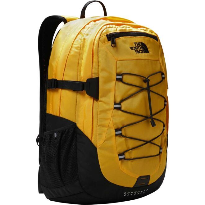 The North Face Borealis Classic 29L mochila