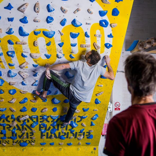 Moon School Holds - Set F 40 presas de escalada