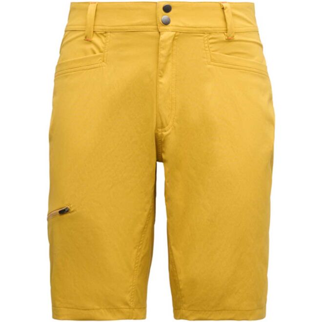 Black Diamond Valley men's shorts