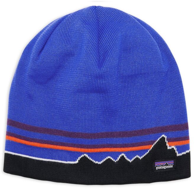 Patagonia Beanie Hat gorro