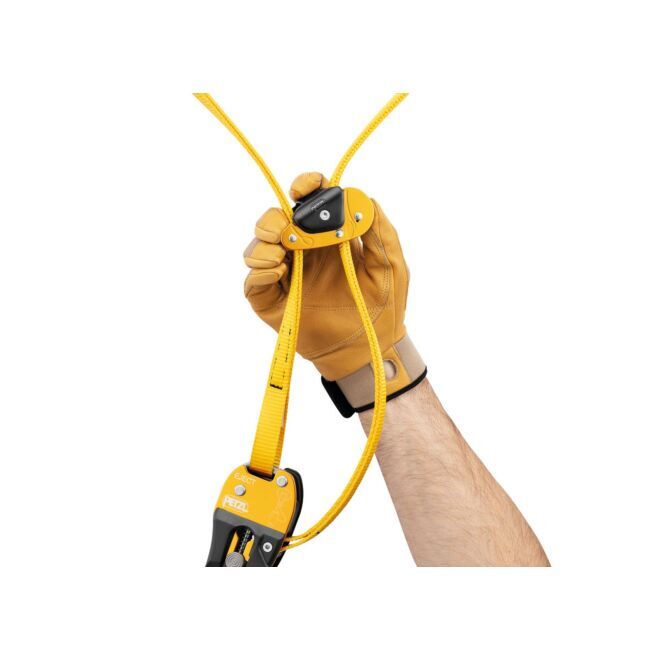 Petzl Eject false fork work on trees