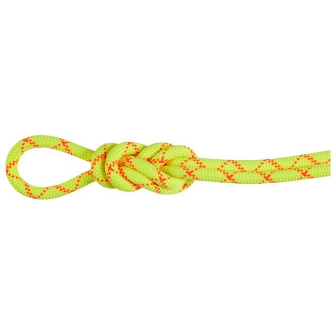 Mammut 9.5 Alpine Core Protect Dry cuerda de escalada