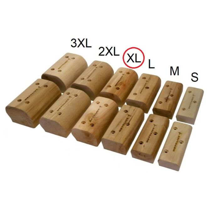 Metolius Campus Blocks XL holds Pan Gullich