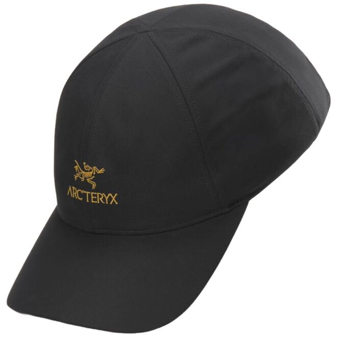 Arc'teryx Bird Word gorra
