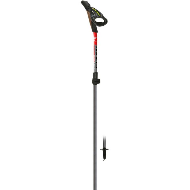 Fizan Carbon Pro Impulse bastones de nordic walking