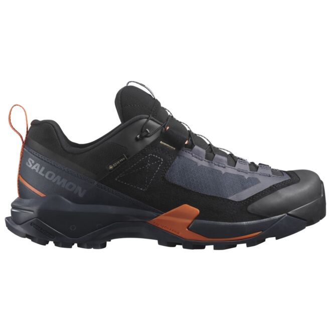 Salomon X Ultra Alpine GTX zapatos de trekking