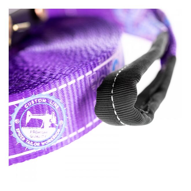 Spider Slacklines Slackline Kit Custom Line 20 slackline