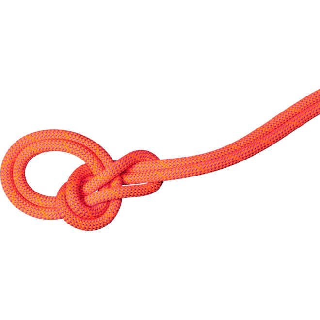 Mammut 9.8 Crag Dry Rope cuerda de escalada