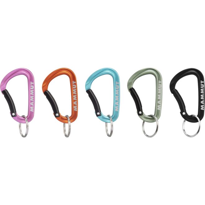 Mammut Mammut Mini Carabiner Classic Keylock S moschettone portachiavi