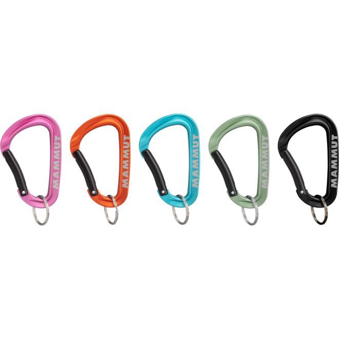 Mammut Mammut Mini Carabiner Workhorse Keylock L moschettone portachiavi