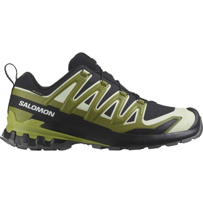 Salomon XA Pro 3D V9 GTX zapatillas de trail running