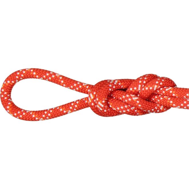 Mammut 9.5 Gym Classic Rope cuerda de escalada